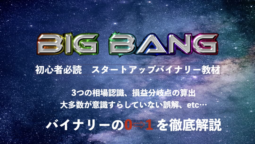 バイナリー初心者向け書籍「BigBang」